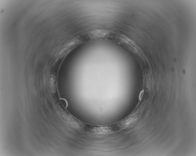 X0000076400378200610161211