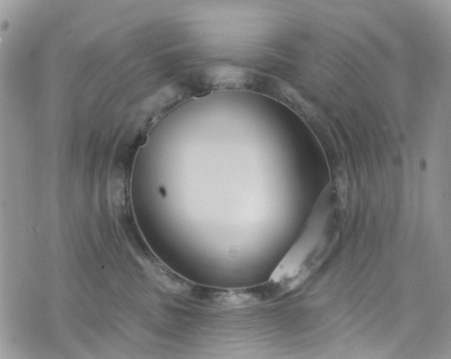 X0000076400379200610161211