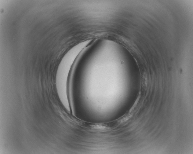 X0000076400380200610161211