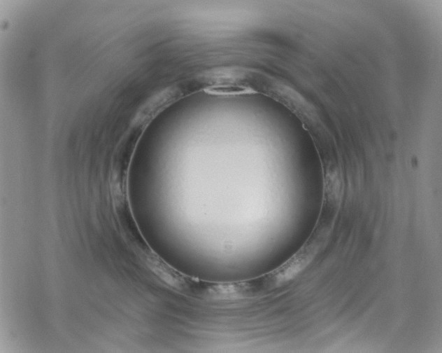 X0000076400381200610161211