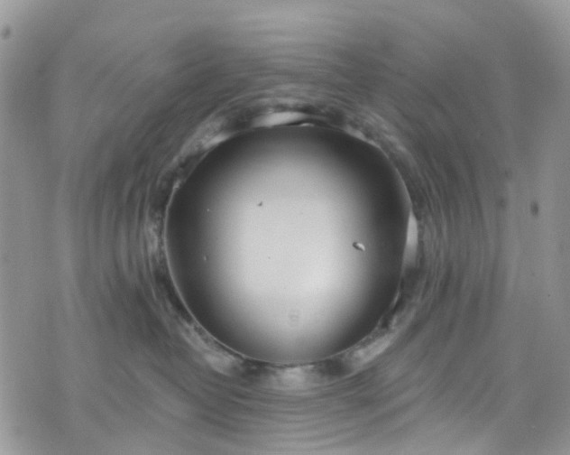 X0000076400382200610161211