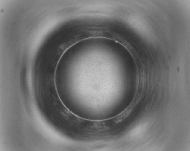 X0000076400383200610161211