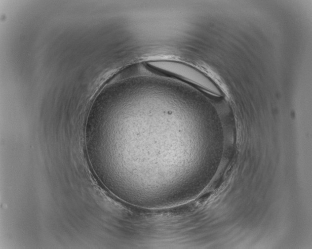 X0000076400385200610161210