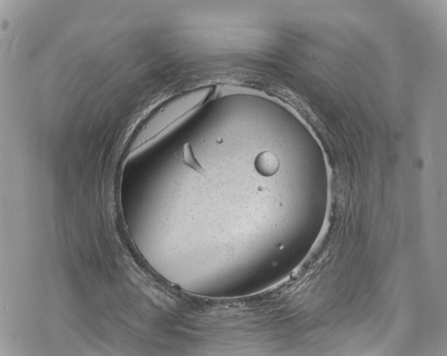 X0000076400386200610161210