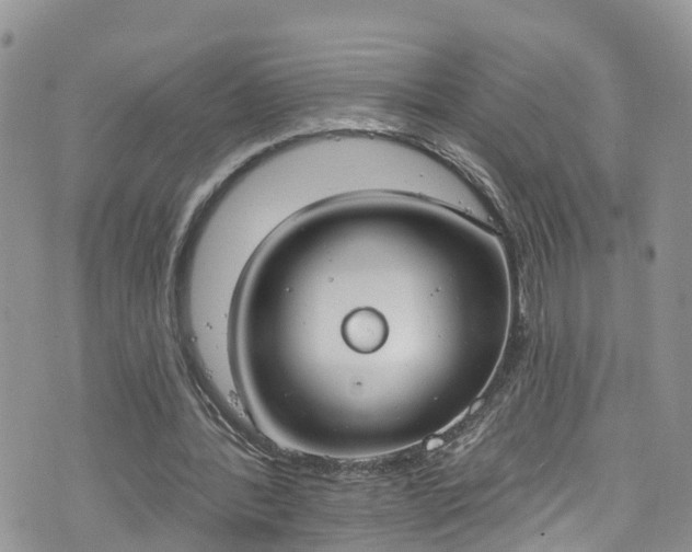 X0000076400388200610161210