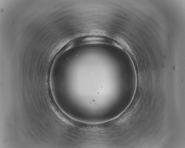 X0000076400389200610161210