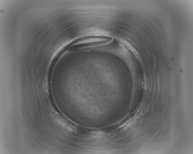 X0000076400391200610161210