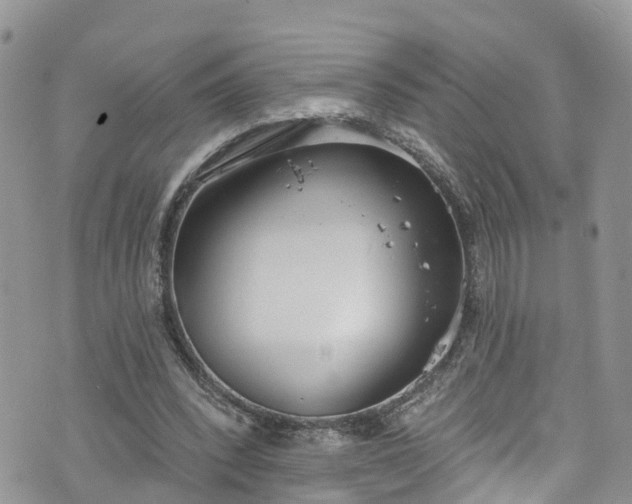 X0000076400392200610161210