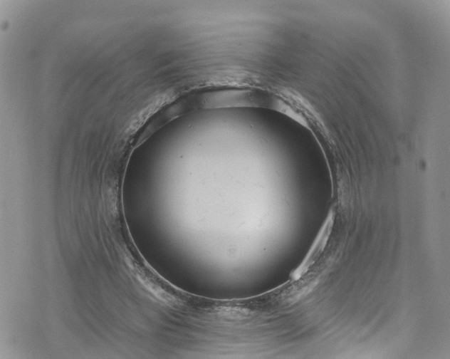 X0000076400393200610161210