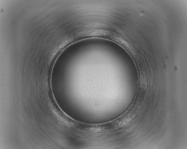 X0000076400394200610161210