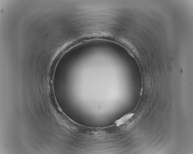 X0000076400395200610161210