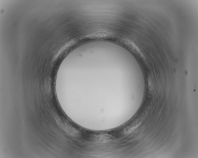 X0000076400396200610161210