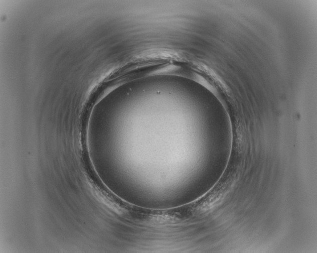 X0000076400399200610161210