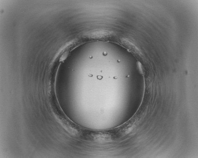 X0000076400400200610161210