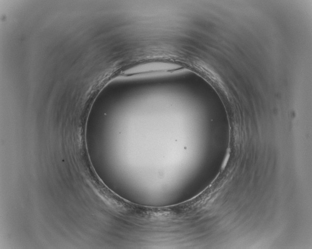 X0000076400401200610161210