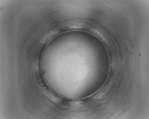 X0000076400402200610161210