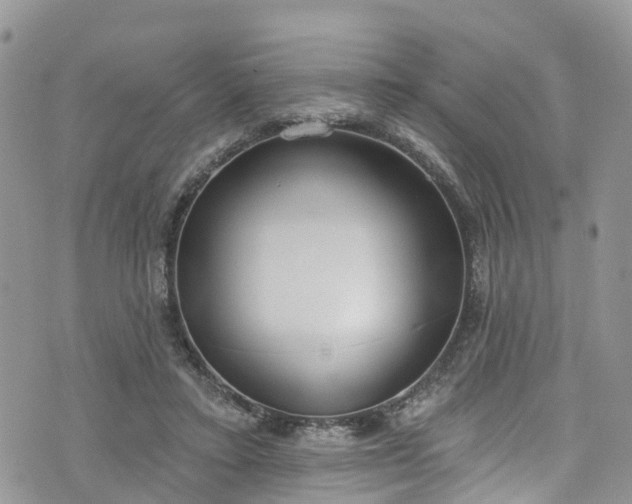 X0000076400403200610161210