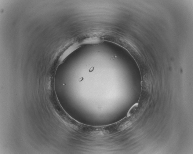 X0000076400404200610161210