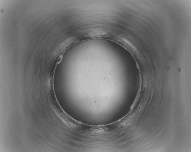 X0000076400405200610161210