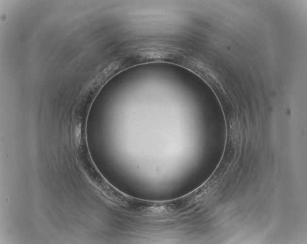 X0000076400406200610161210