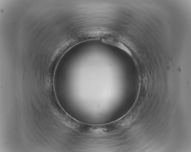 X0000076400407200610161210