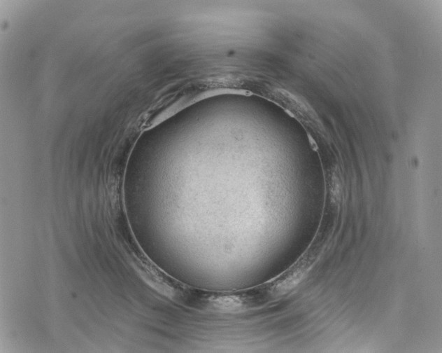 X0000076400409200610161210