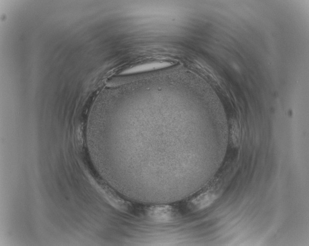 X0000076400410200610161210