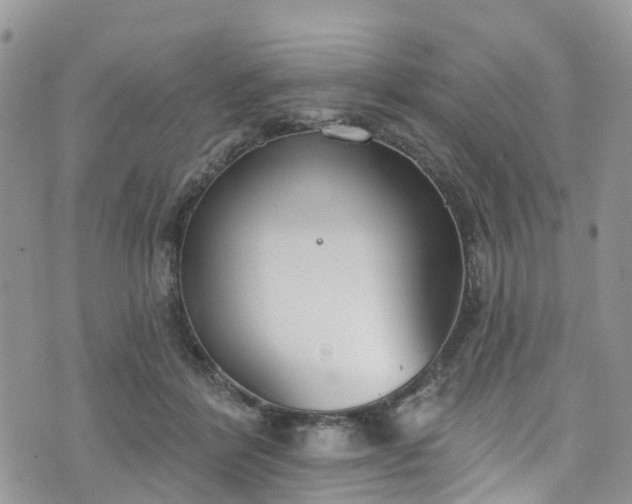 X0000076400412200610161210