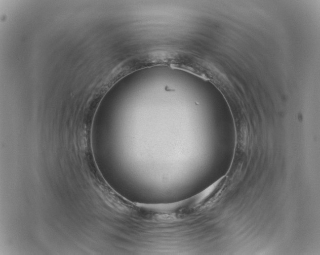 X0000076400413200610161210