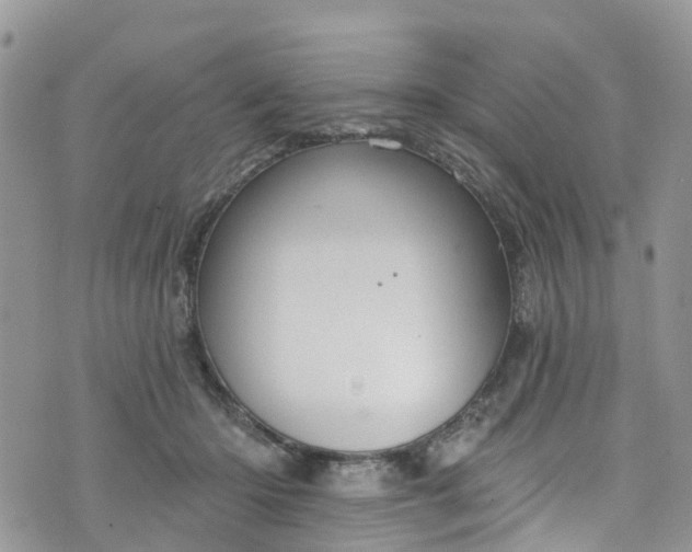 X0000076400414200610161210