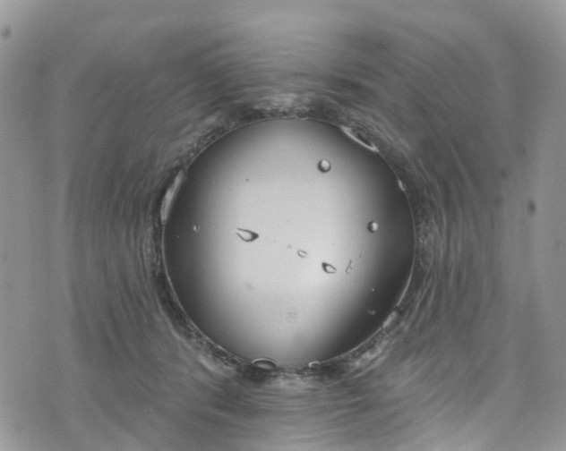 X0000076400416200610161210