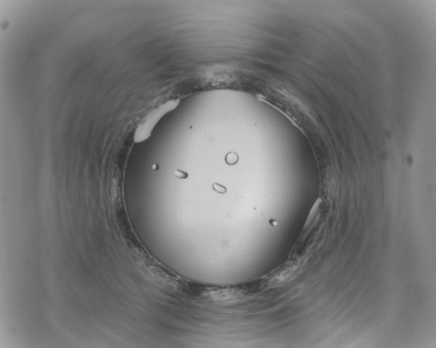 X0000076400417200610161210