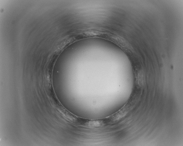 X0000076400418200610161210