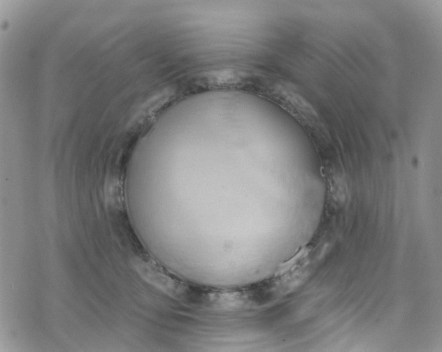 X0000076400419200610161210