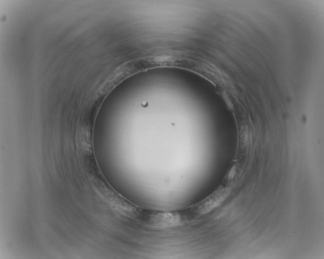 X0000076400421200610161210