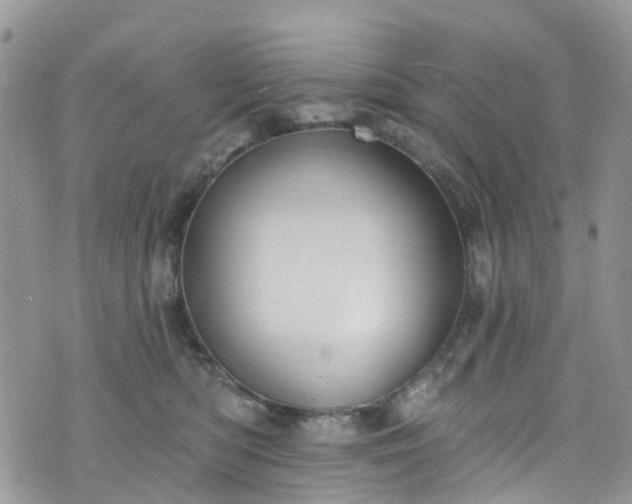 X0000076400422200610161210