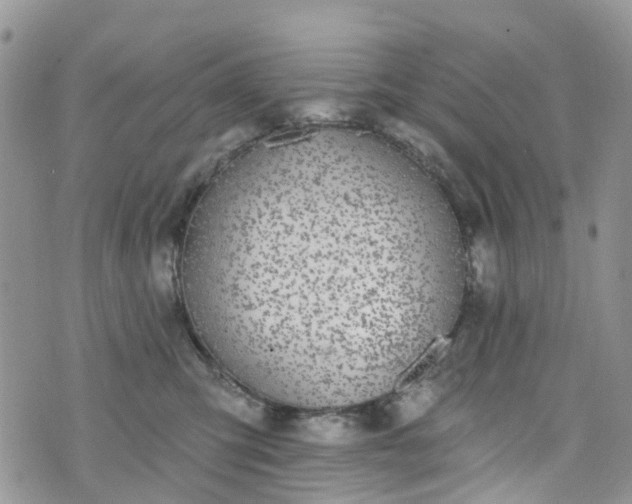 X0000076400423200610161210