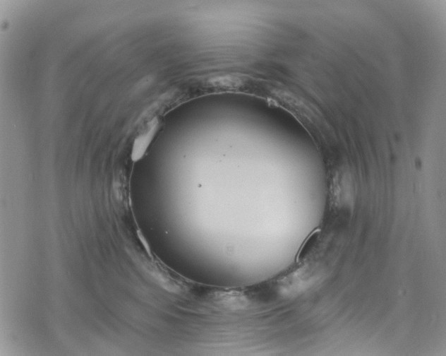 X0000076400424200610161210