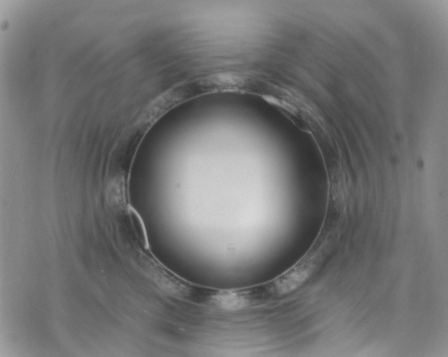 X0000076400425200610161210