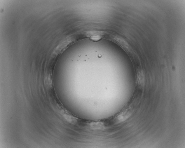 X0000076400426200610161210