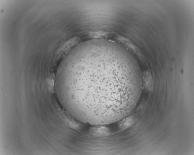 X0000076400427200610161210