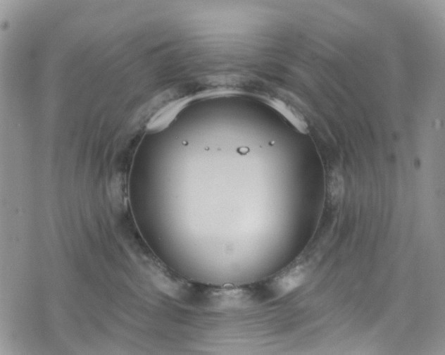 X0000076400428200610161210