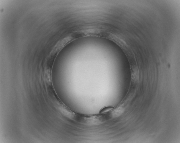 X0000076400430200610161210