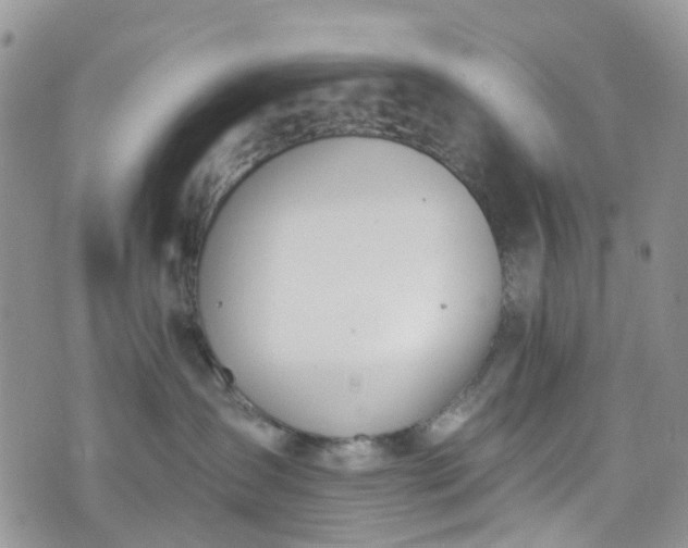 X0000076400431200610161210