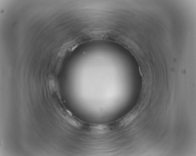 X0000076400432200610161210