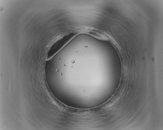 X0000076400433200610161209