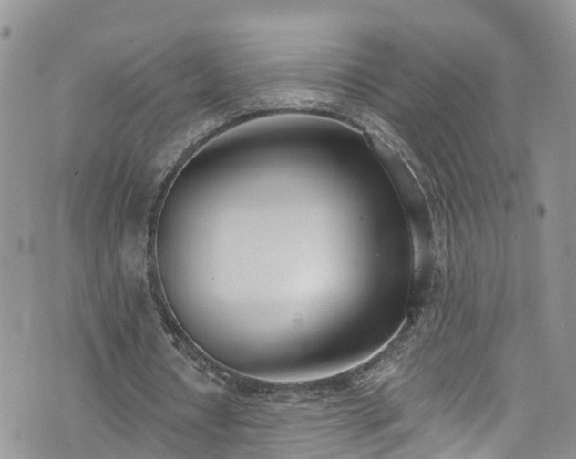 X0000076400434200610161209