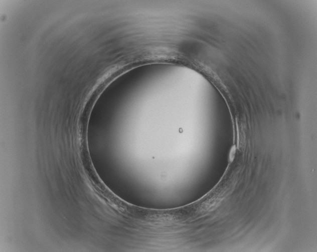 X0000076400435200610161209