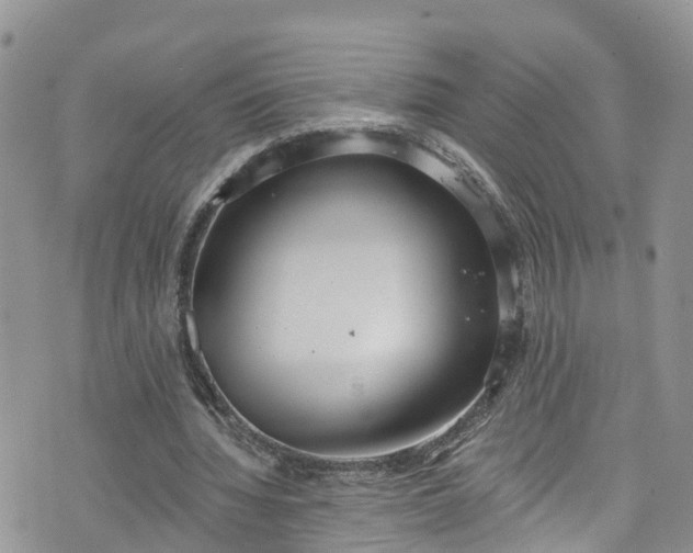 X0000076400436200610161209