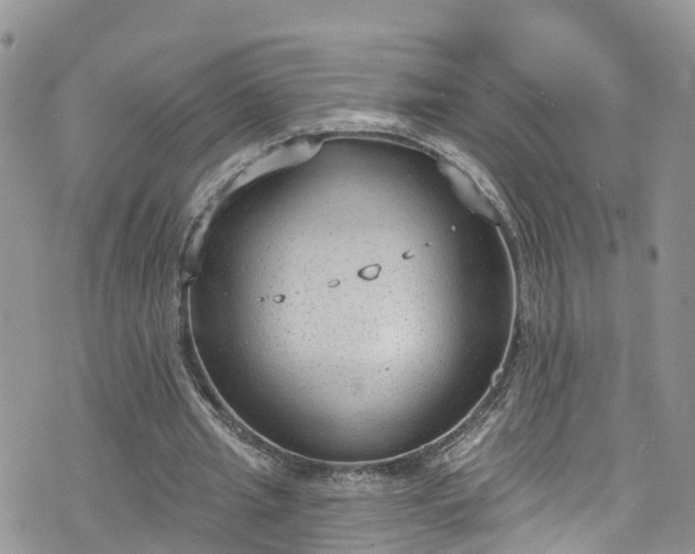 X0000076400437200610161209